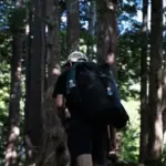 自然を求めて　〜Seek Nature〜